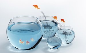 极简私域流量：只保留最重要的